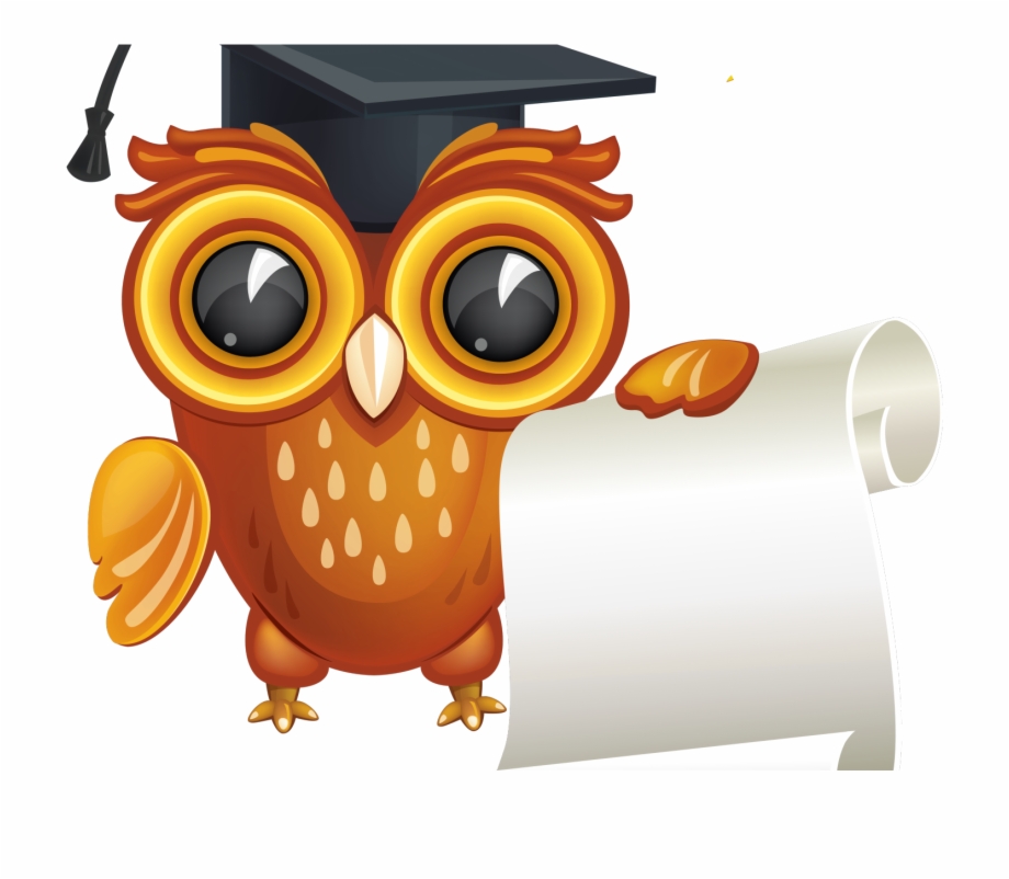 920x802 Graduation Owl Vector Png Free Png Images Clipart Download