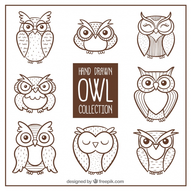 626x626 Pack Of Hand Drawn Owls Vector Free Download