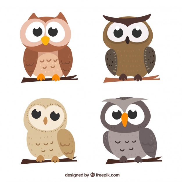 626x626 Cartoon Owls Vectors Photos And Free Download