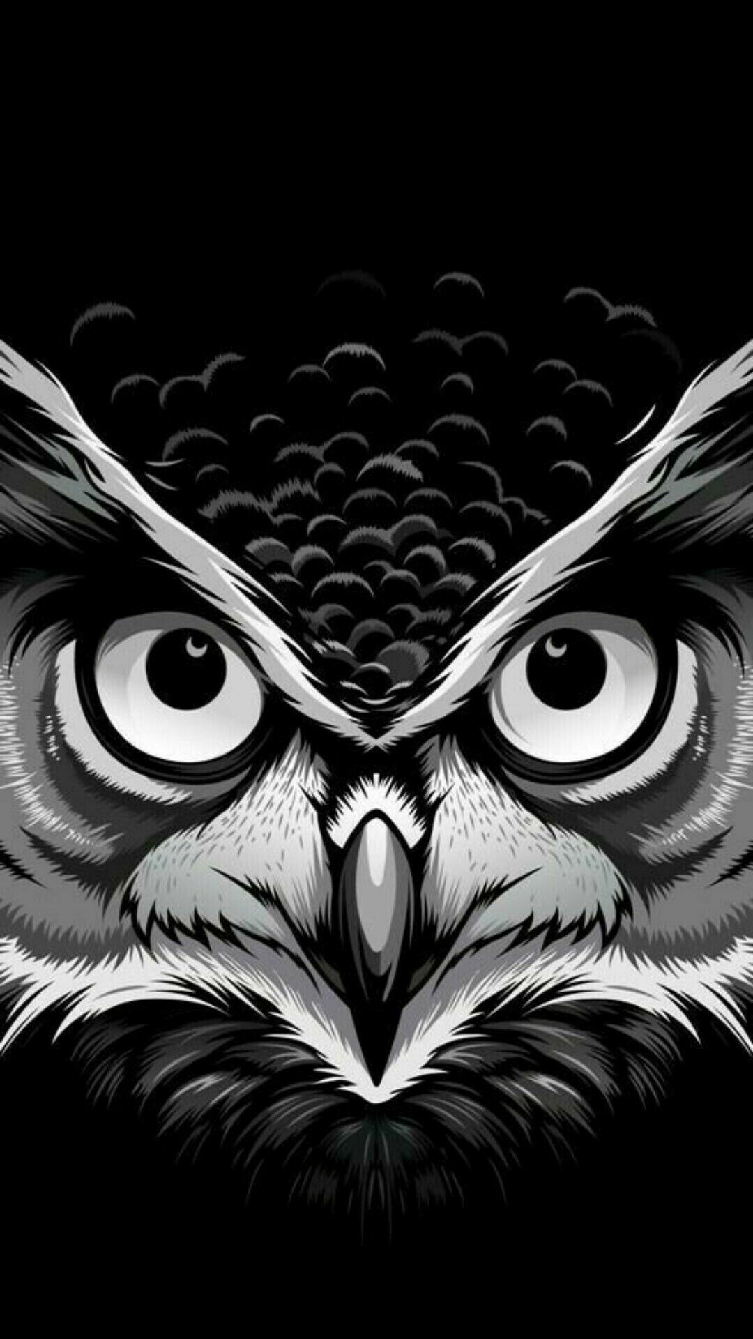 For Phone Background Wallpaper In Owl Art, Owl 1080x1920 For Phone Background Wallpaper In Owl Art, Owl