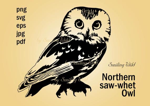 Owl Art Clipart Png Vector Graphic Silhouette Northern Etsy 570x403 Owl Art Clipart Png Vector Graphic Silhouette Northern Etsy