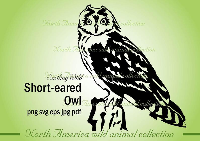 Bird Short Eared Owl Clipart Art Owl Vector Graphic Etsy 794x561 Bird Short Eared Owl Clipart Art Owl Vector Graphic Etsy