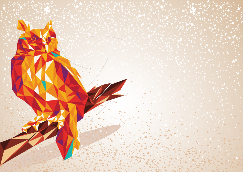 Color Owl Vector Free Vector Graphic Download 800x565 Color Owl Vector Free Vector Graphic Download