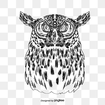 360x360 Owl Vector, Graphic Resources For Free Download