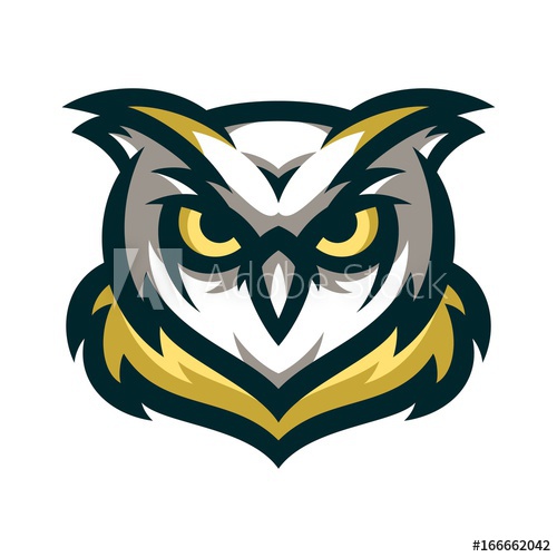500x500 Owl Vector Logo Illustration