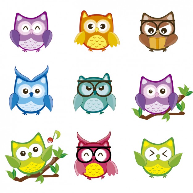 626x626 Owl Vectors, Photos And Free Download