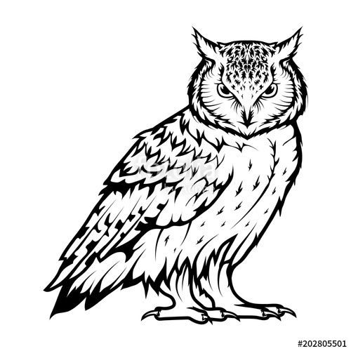 500x500 Owl Logo Wild Birds Drawing Head Of An Owl Vector Graphics