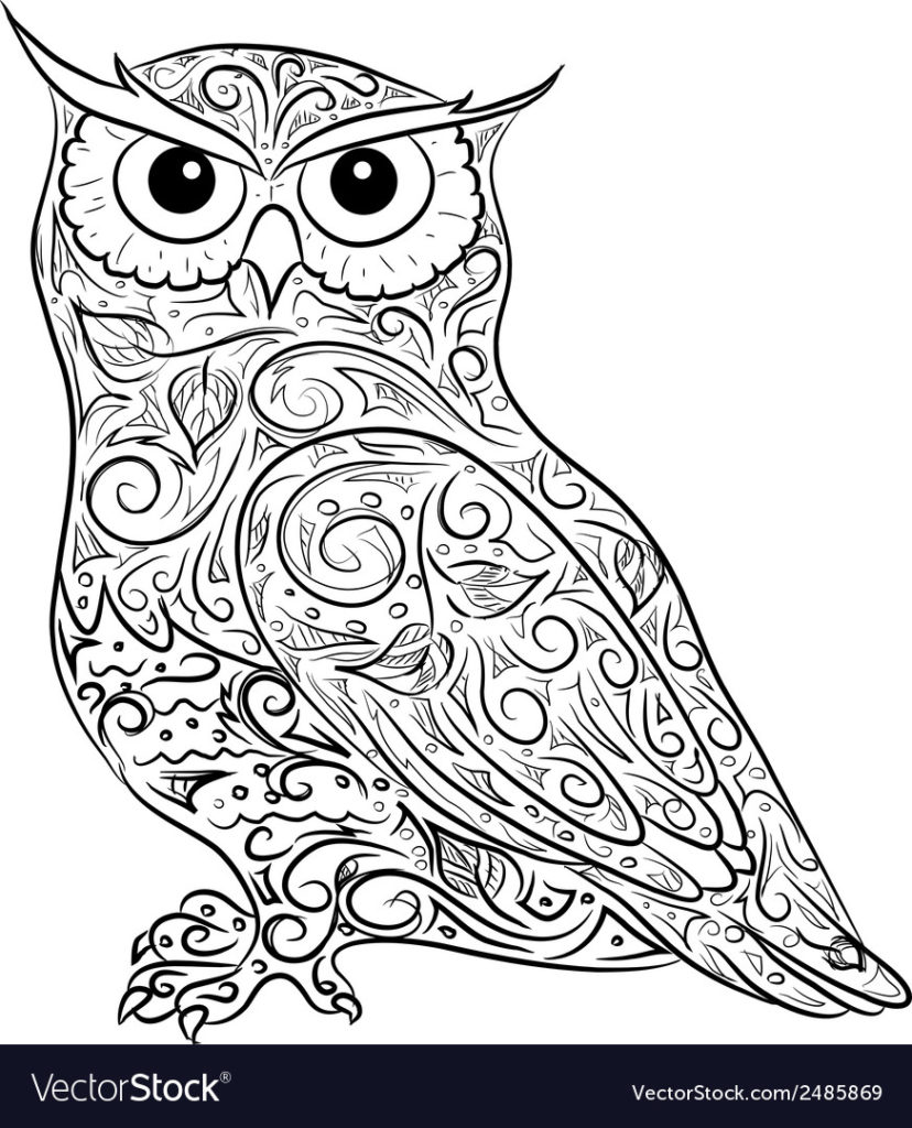 828x1024 Coloring Hand Drawing Owl Vector Royalty Free Image Vectorstock