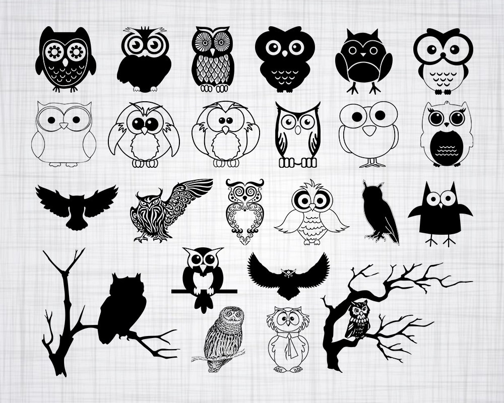 1000x800 Owl Bundle Owl Owl Clipart Owl For Etsy