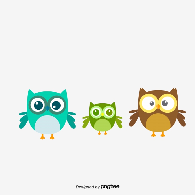 640x640 Owl Vector, Free Download Owls, Cute Owl, Cartoon Owl Vector Art