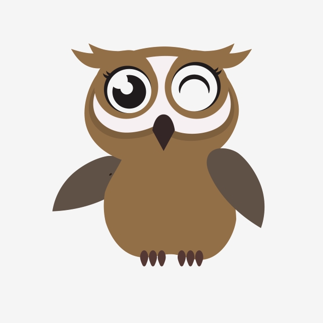 640x640 Owl Vector, Owl, Vector, Vector Png Transparent Clipart Image