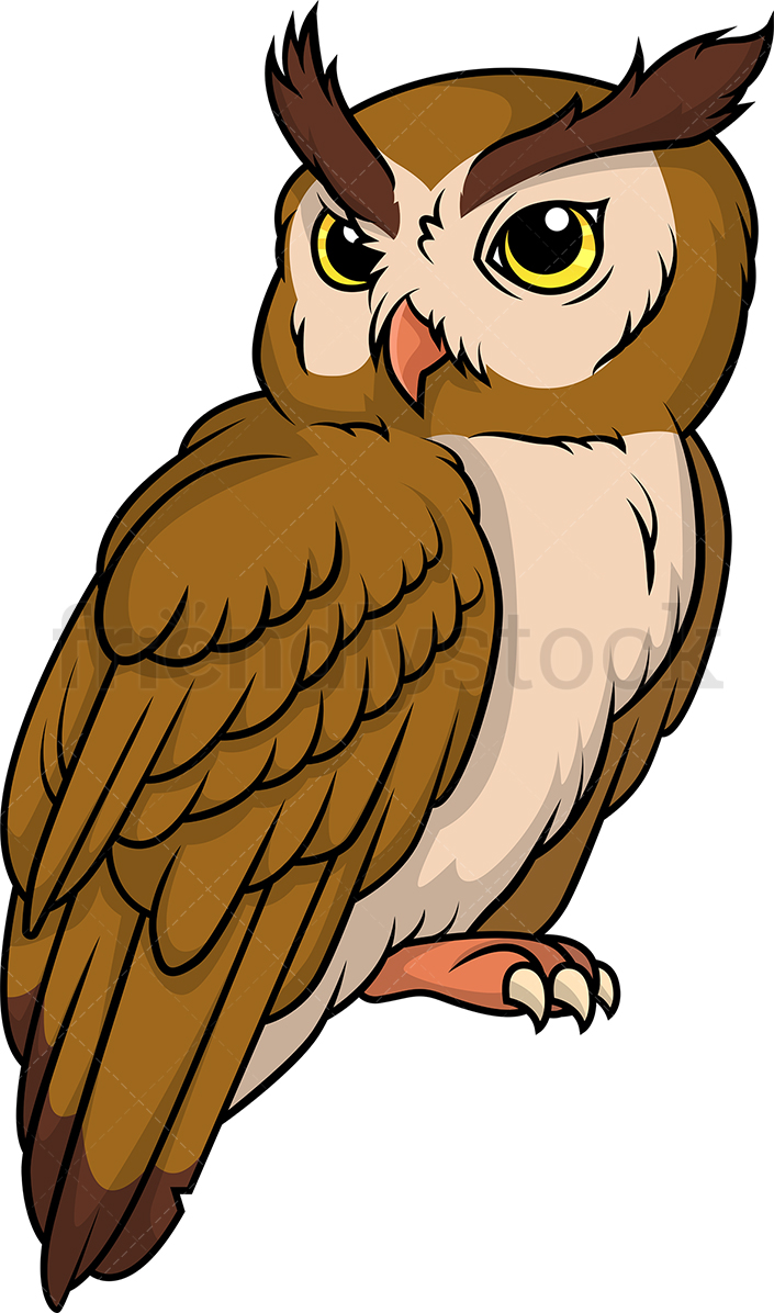 705x1196 Wild Owl Cartoon Clipart Vector