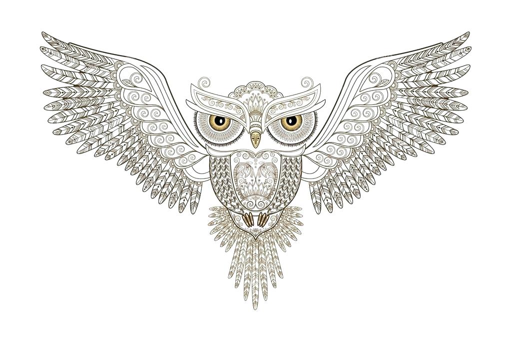 1023x682 Owl With Open Wings And Floral Ornament On A White Background