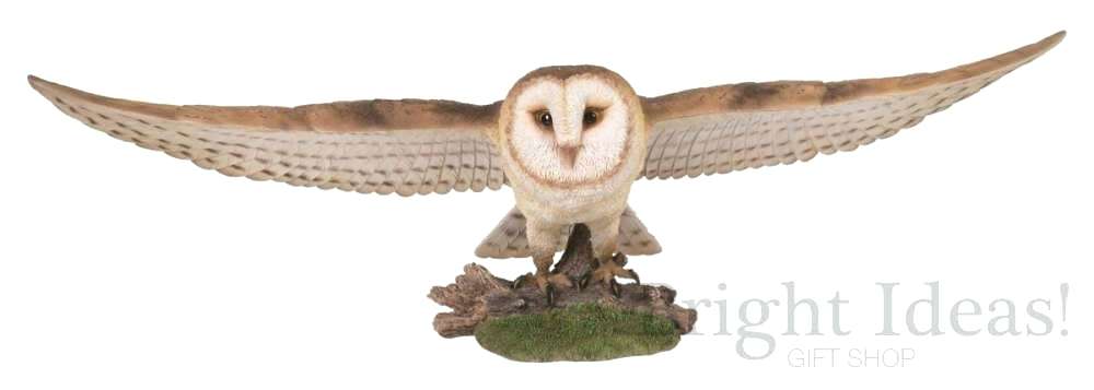 1000x357 Owl With Open Wings Vector