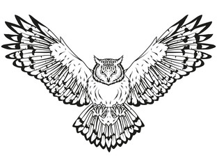 312x240 Search Photos Category Animals Gt Birds Gt Owls