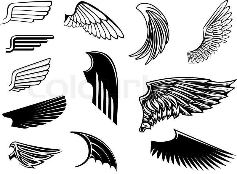 800x586 Set Of Bird Wings For Heraldry Design Stock Vector Colourbox