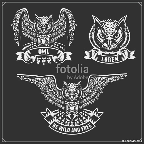 500x500 The Emblems With Owl With Open Wings Stock Image And Royalty