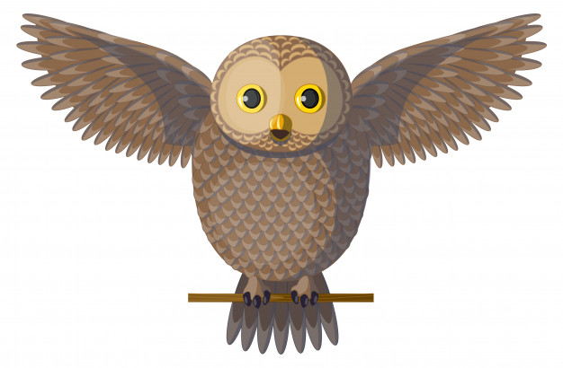 626x410 Vector Brown Owl Spreading Wings And Hooting Vector Premium
