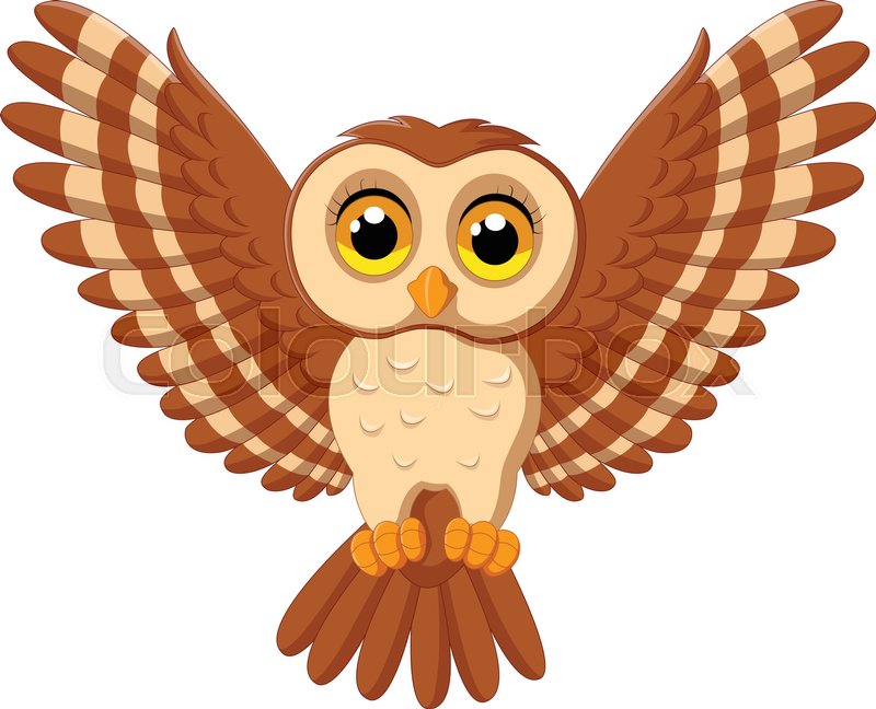 800x648 Vector Illustration Of Cute Owl Stock Vector Colourbox