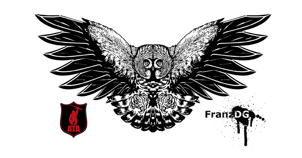 1024x535 Collection Of 'owl Wings Drawing' Download More Than Images