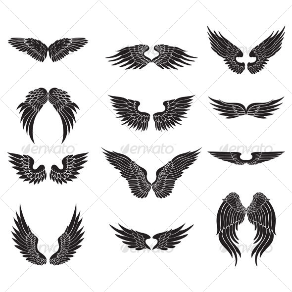590x590 Wings Vectors From Graphicriver