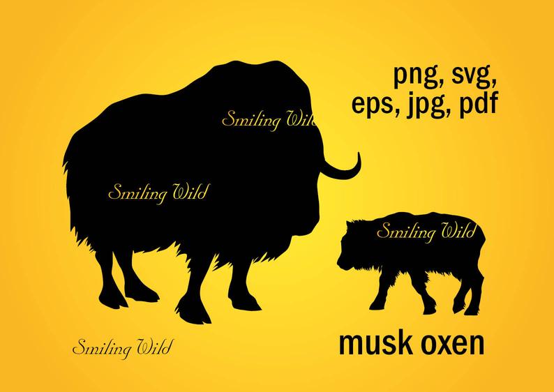 794x562 Musk Oxen Musk Ox Silhouette Vector Graphic Digital Etsy