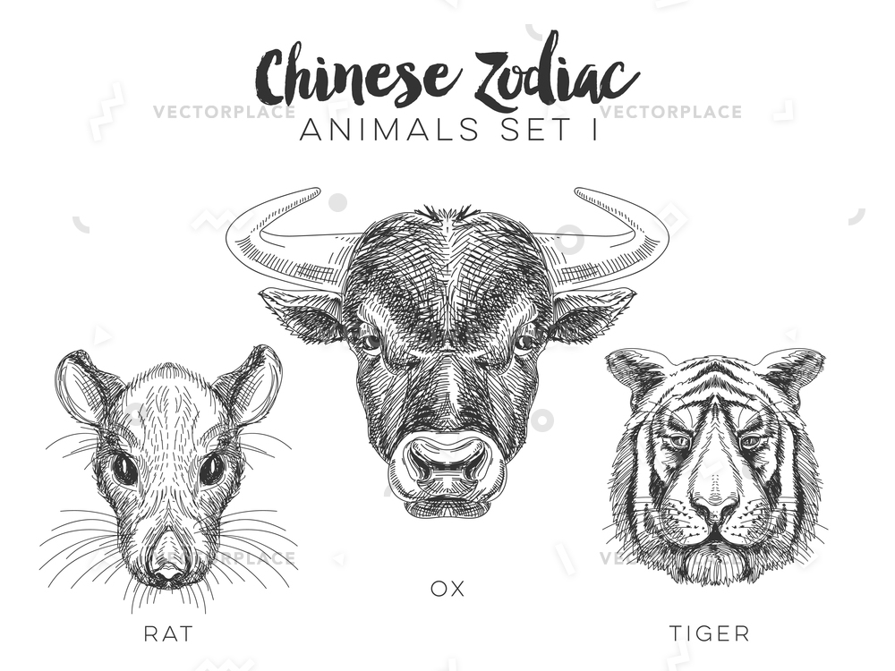 1000x750 Set Hand Drawn Chinese Zodiac Animal Vector Illustration