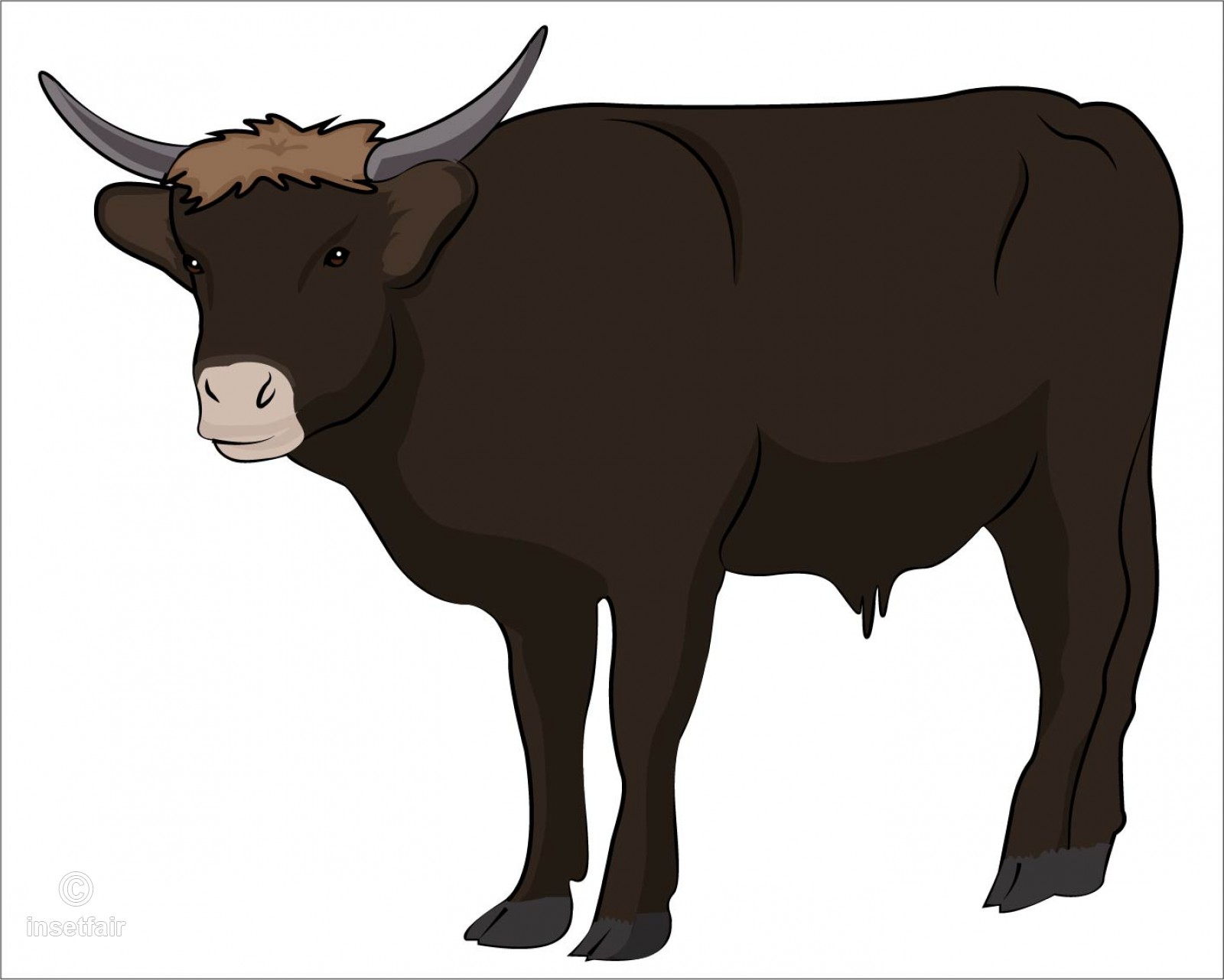 1600x1281 Standing Sark Ox Vector Animal