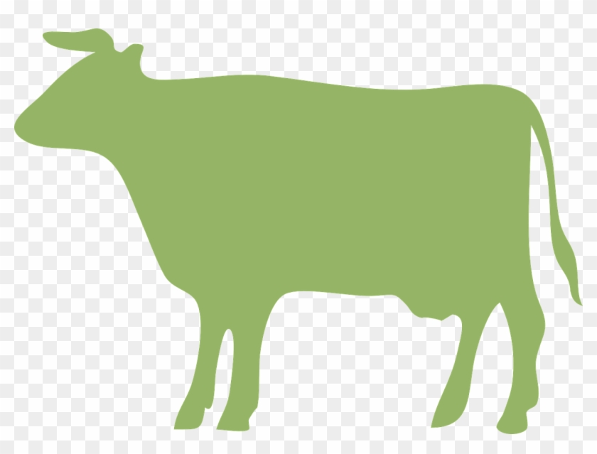 840x639 Cow,cattle,green,ox,free Vector Graphics,free Pictures