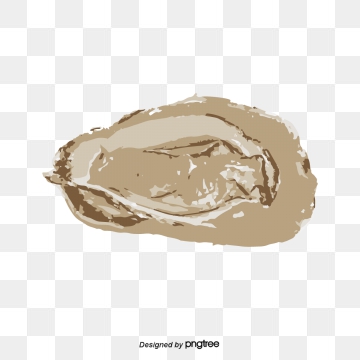 360x360 Oyster Png, Vector, And Clipart With Transparent Background