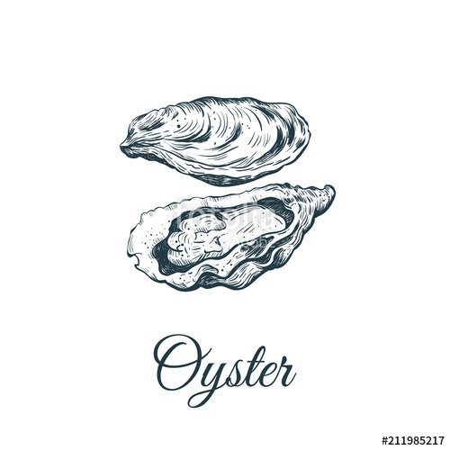 Oyster Logo Vector at Collection of Oyster Logo