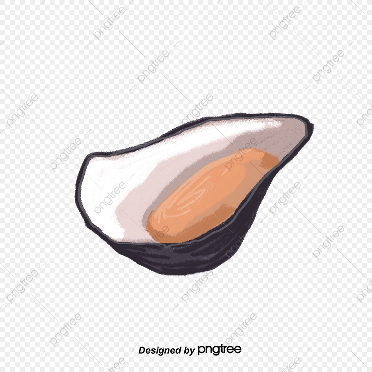 1200x1200 Vector Hand Painted Delicious Oyster, Oysters, Vector Diagram