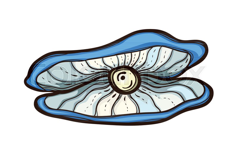 800x500 Open Oyster With Pearl Isolated On Stock Vector Colourbox