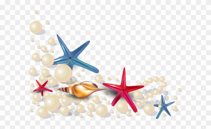 840x514 Oyster Seashell Pearl Euclidean Vector