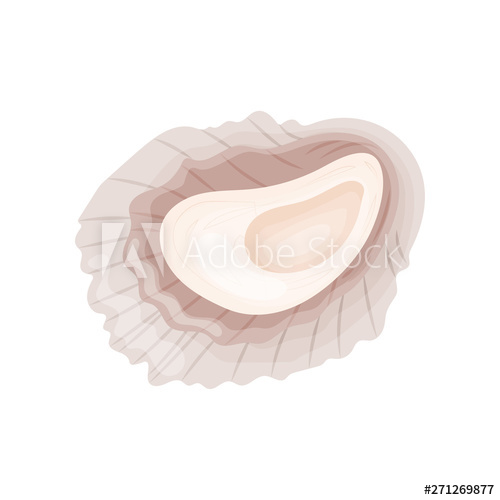 500x500 Oyster Shell With Wavy Edges Vector Illustration On White