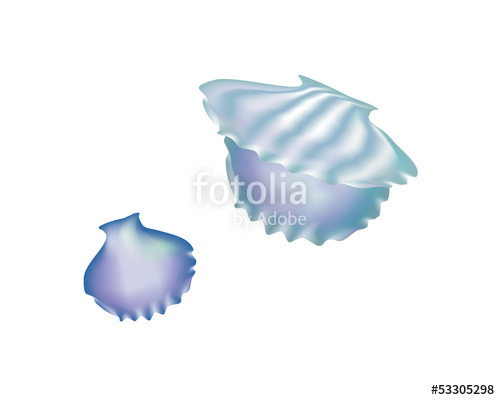 500x400 Oyster Shells Stock Image And Royalty Free Vector
