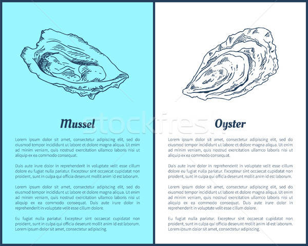 Mussel And Oyster Vector Double Color Graphic Vector Illustration 600x480 Mussel And Oyster Vector Double Color Graphic Vector Illustration