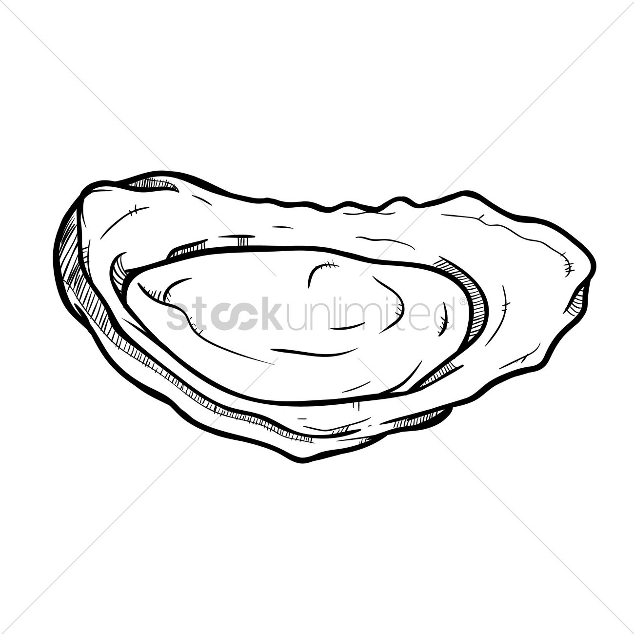 Opened Oyster Vector Image 1300x1300 Opened Oyster Vector Image