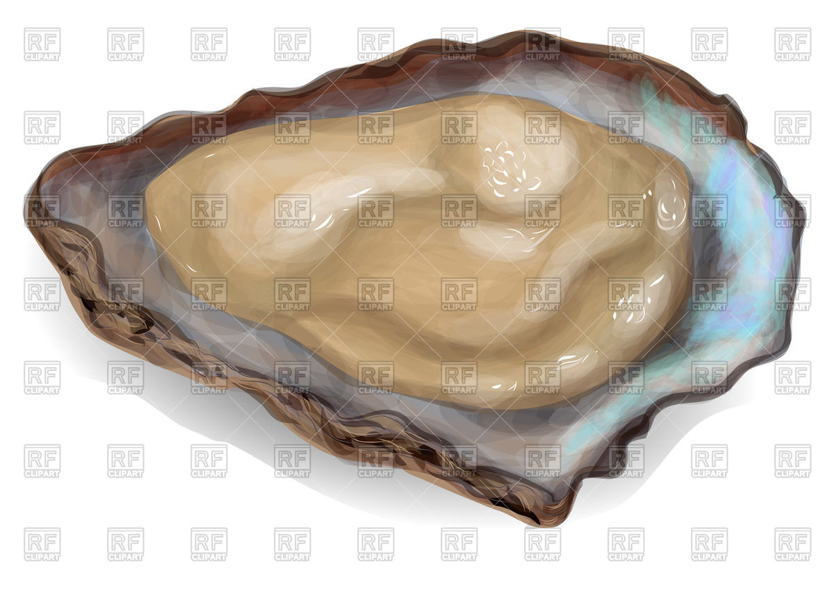 Oyster Vector Image Of Food And Beverages Arkela 1200x851 Oyster Vector Image Of Food And Beverages Arkela