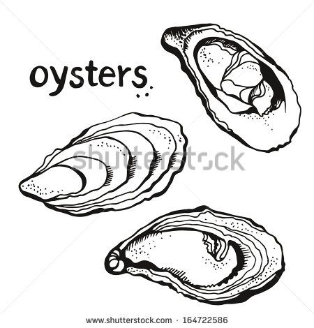 Oysters Set Isolated On A White Background 450x470 Oysters Set Isolated On A White Background