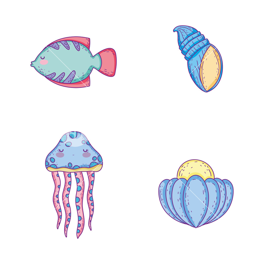 Set Fish With Jellyfish And Snail With Oyster Animals Vector 1000x1000 Set Fish With Jellyfish And Snail With Oyster Animals Vector