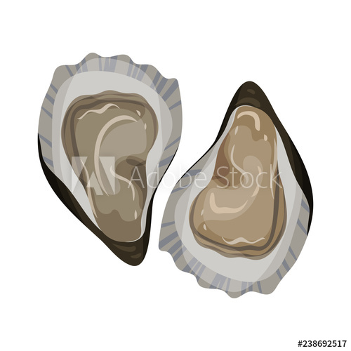 Detailed Flat Vector Icon Of Open Oyster Gourmet Seafood Raw 500x500 Detailed Flat Vector Icon Of Open Oyster Gourmet Seafood Raw