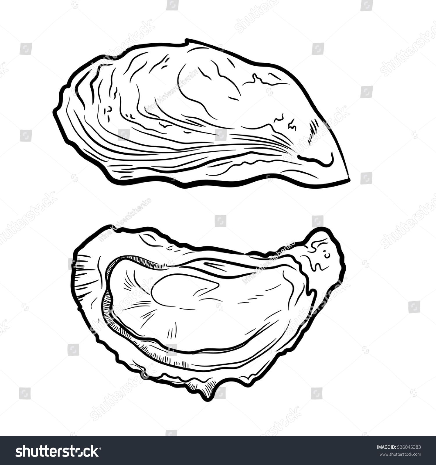 Fresh Oysters Vector Set Black And White Graphic Design Sea Food 1500x1600 Fresh Oysters Vector Set Black And White Graphic Design Sea Food