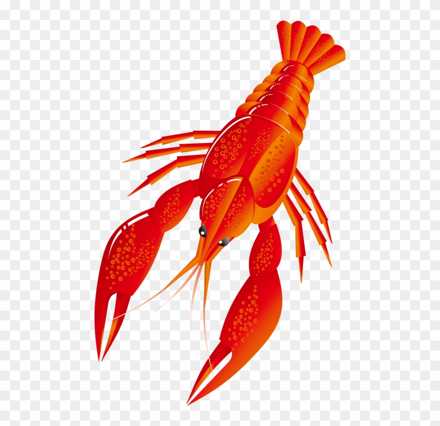 Lobster Oyster Crab 880x851 Lobster Oyster Crab