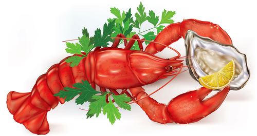 Lobster And Oyster Vector Free Download 500x265 Lobster And Oyster Vector Free Download