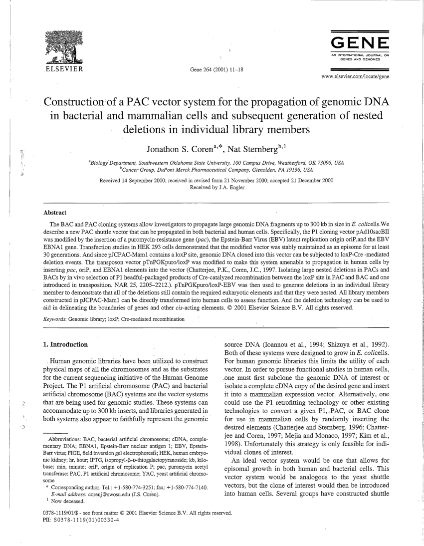 850x1094 Pdf Construction Of A Pac Vector System For The Propagation