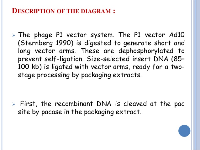 638x479 Pac Vector Ppt