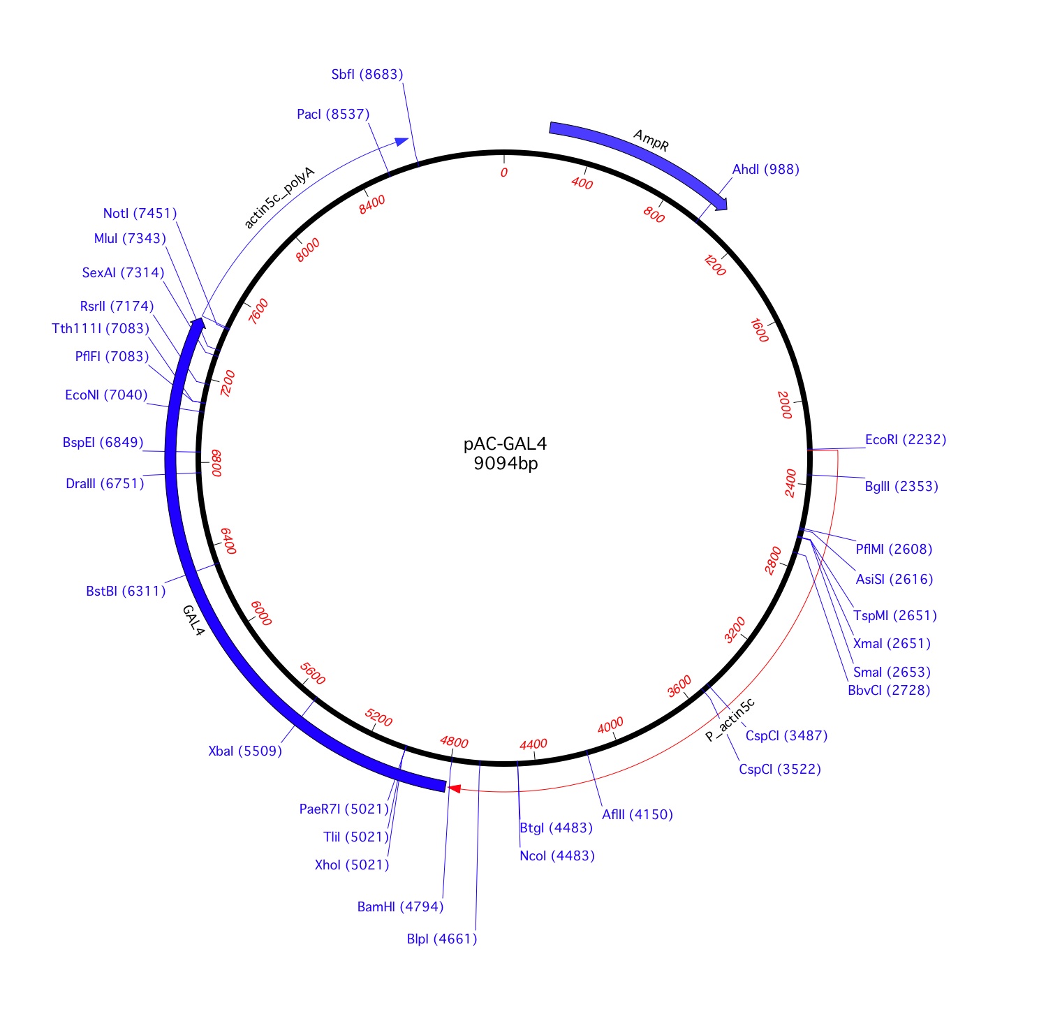 1488x1452 Addgene Pac