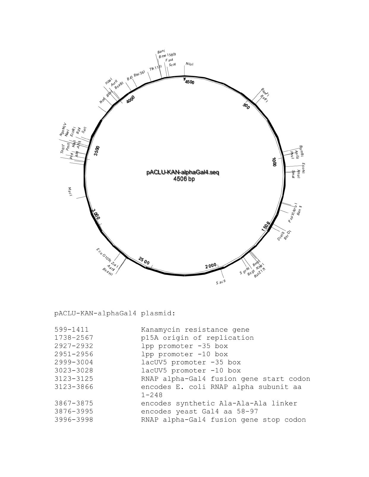 1243x1608 Addgene Pac Kan