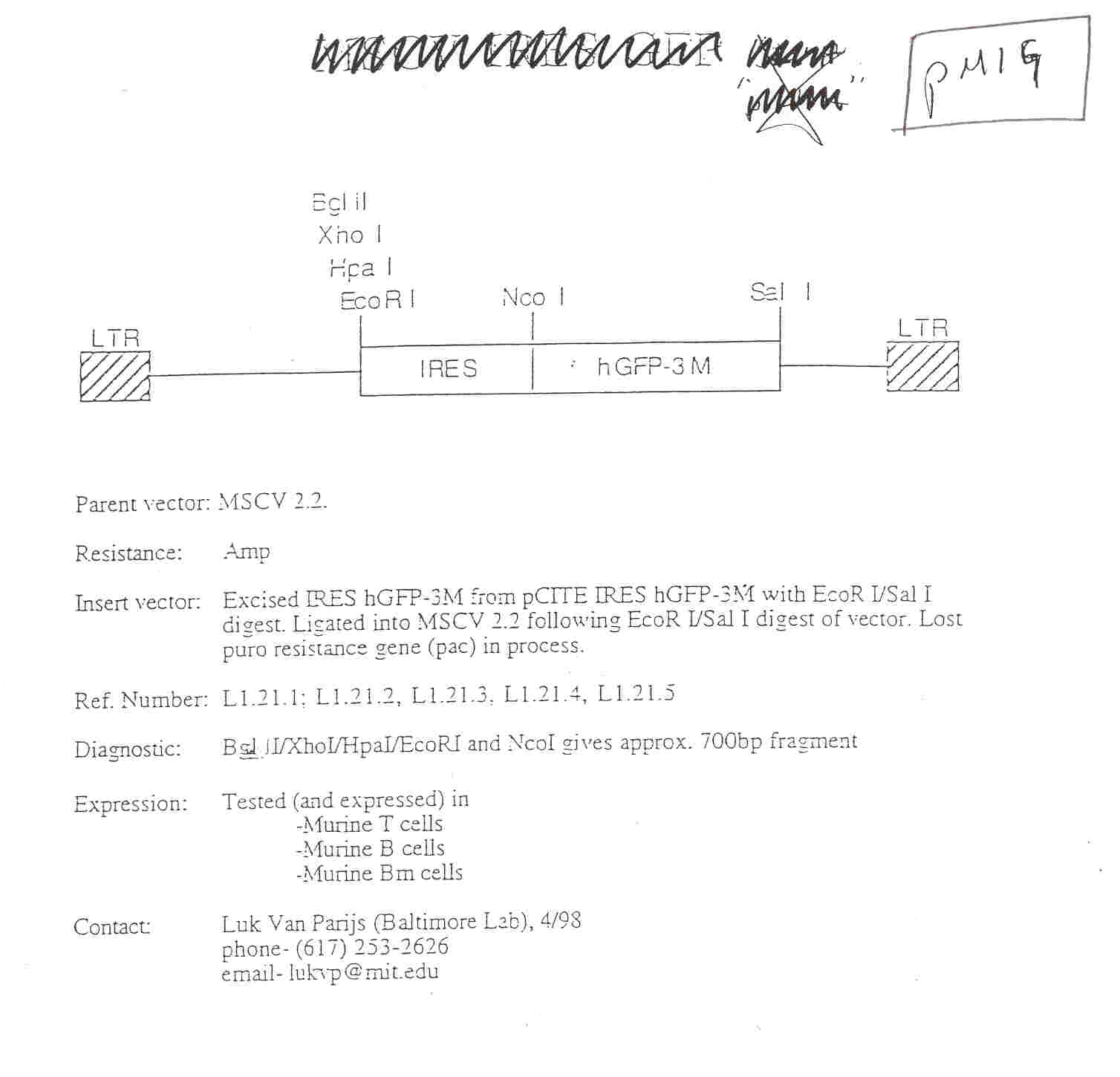 1508x1450 Addgene Pmig